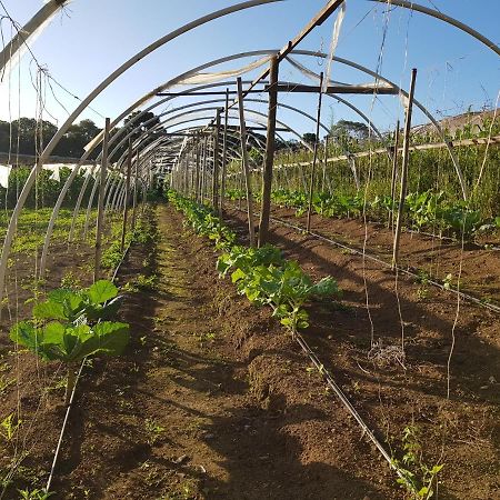 فيلا تيجوكاس دو سولفي Cabana Rustica - Sitio Kayalami المظهر الخارجي الصورة