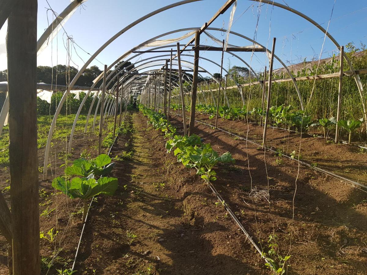 فيلا تيجوكاس دو سولفي Cabana Rustica - Sitio Kayalami المظهر الخارجي الصورة